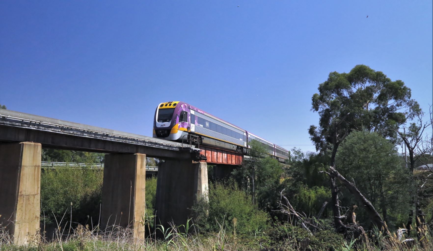 VLine Train